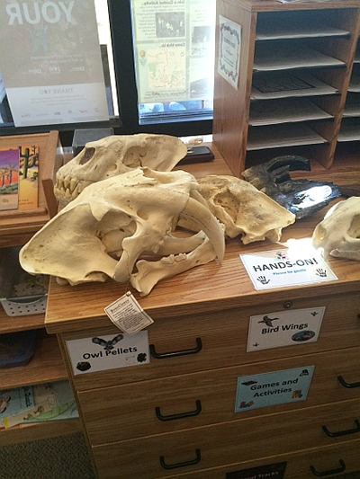 Hagerman Fossil Beds